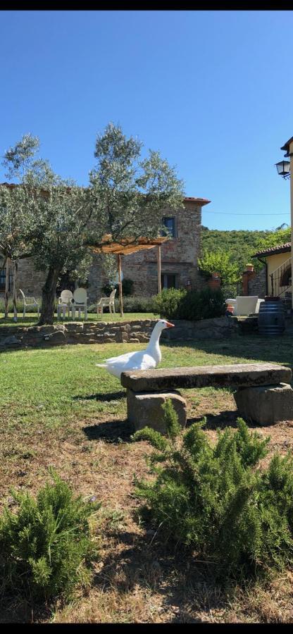 Agriturismo La Posta Reale Castiglion Fibocchi Εξωτερικό φωτογραφία
