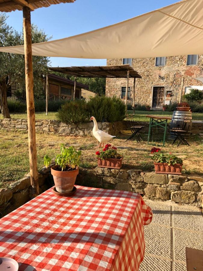 Agriturismo La Posta Reale Castiglion Fibocchi Εξωτερικό φωτογραφία