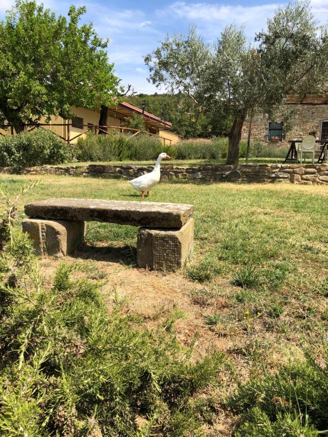 Agriturismo La Posta Reale Castiglion Fibocchi Εξωτερικό φωτογραφία