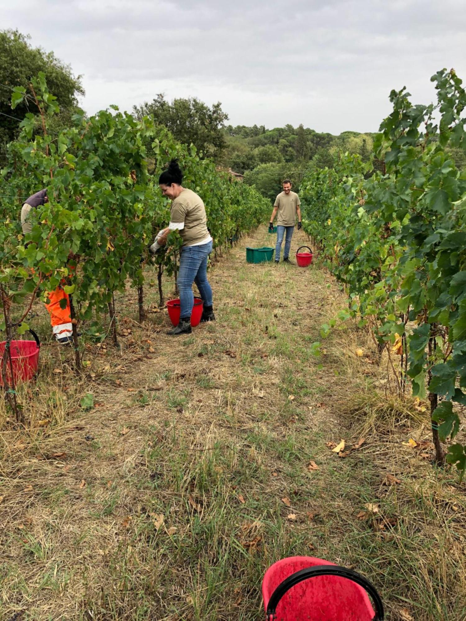 Agriturismo La Posta Reale Castiglion Fibocchi Εξωτερικό φωτογραφία
