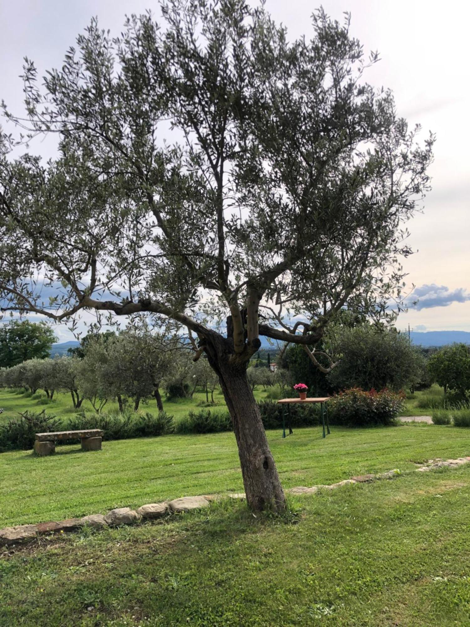 Agriturismo La Posta Reale Castiglion Fibocchi Εξωτερικό φωτογραφία