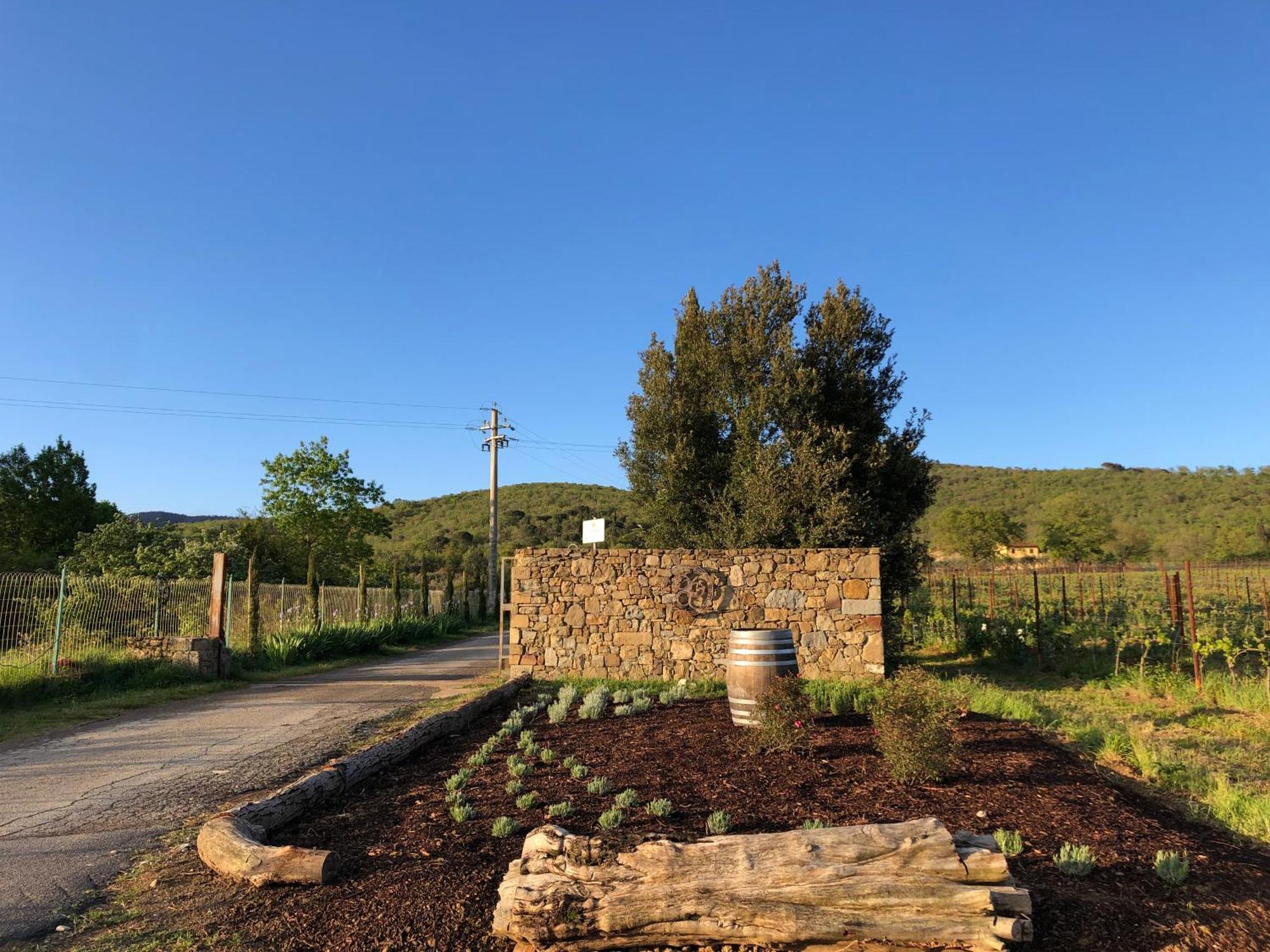 Agriturismo La Posta Reale Castiglion Fibocchi Εξωτερικό φωτογραφία