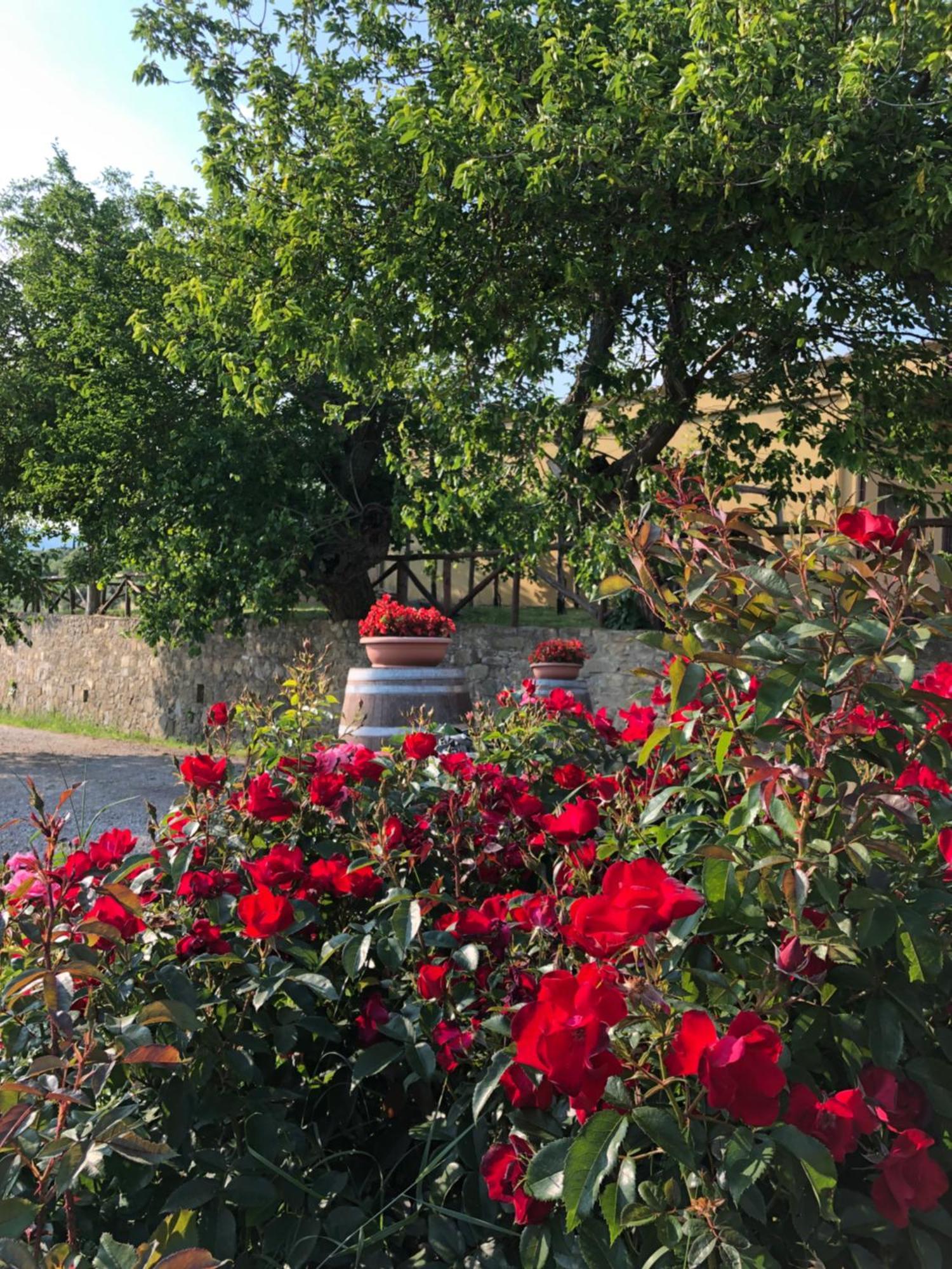 Agriturismo La Posta Reale Castiglion Fibocchi Εξωτερικό φωτογραφία