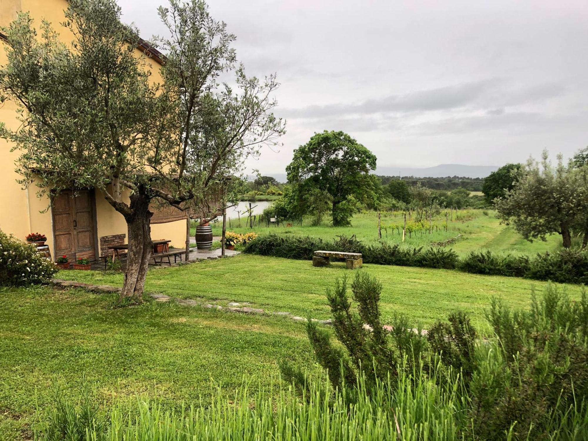 Agriturismo La Posta Reale Castiglion Fibocchi Εξωτερικό φωτογραφία