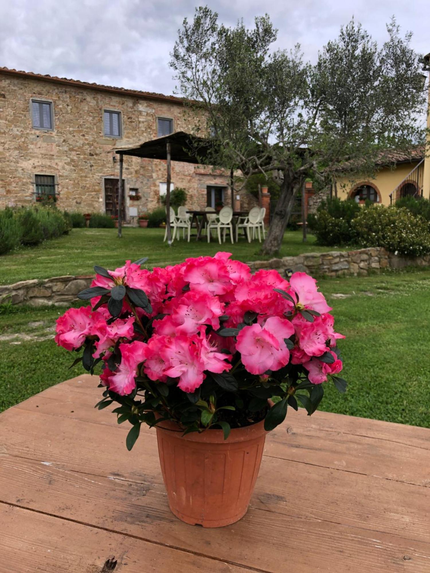 Agriturismo La Posta Reale Castiglion Fibocchi Εξωτερικό φωτογραφία