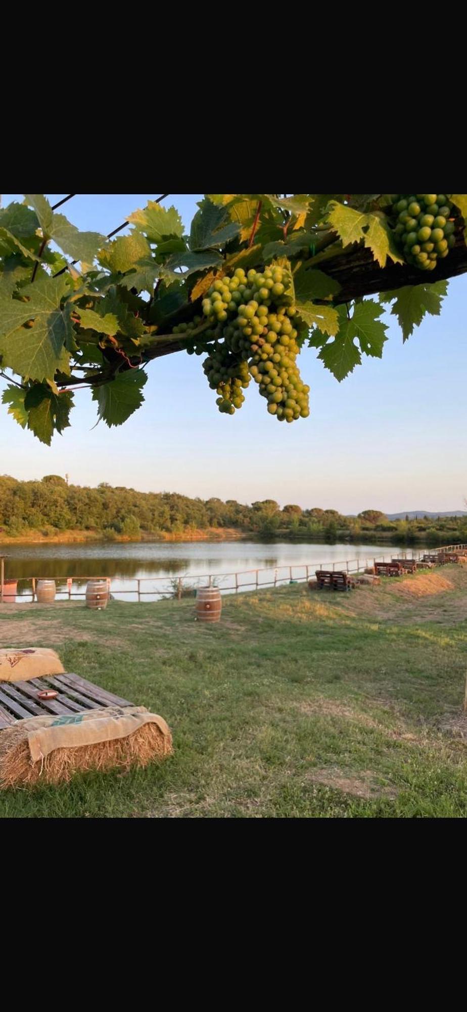 Agriturismo La Posta Reale Castiglion Fibocchi Εξωτερικό φωτογραφία