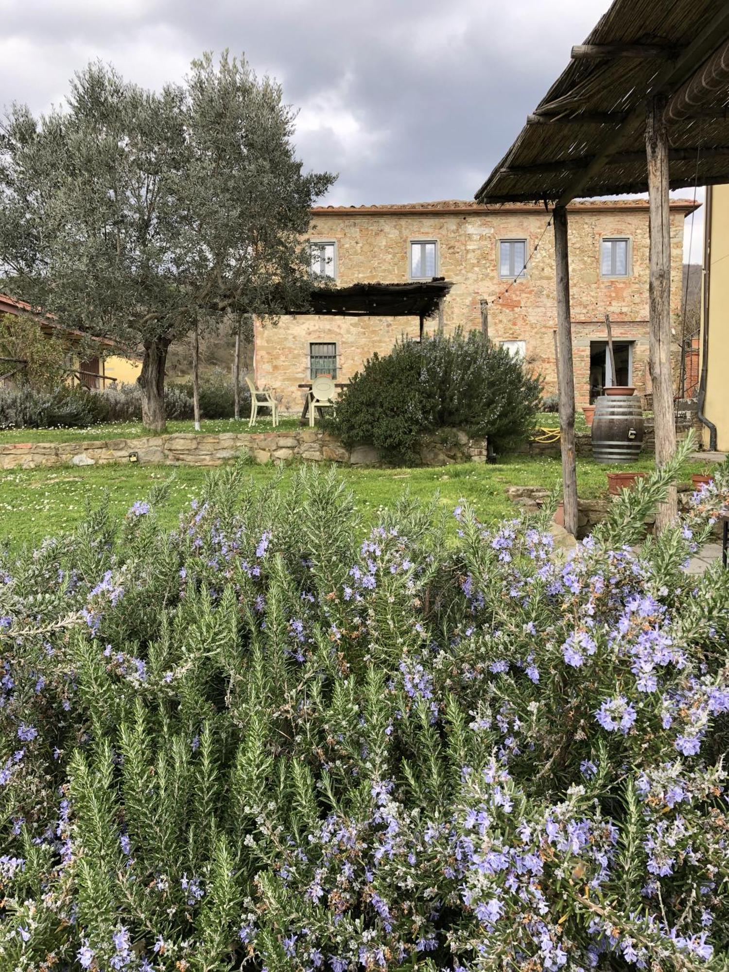 Agriturismo La Posta Reale Castiglion Fibocchi Εξωτερικό φωτογραφία