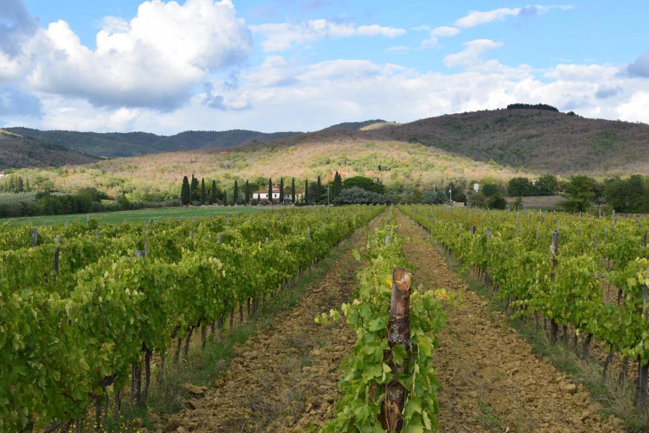 Agriturismo La Posta Reale Castiglion Fibocchi Εξωτερικό φωτογραφία